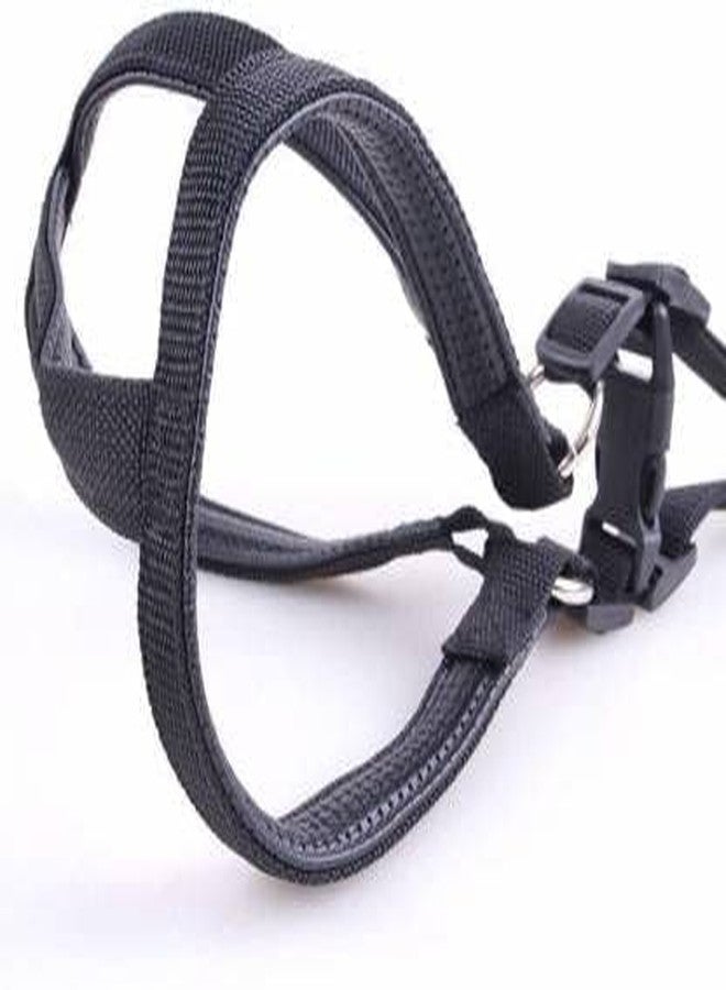 Pups&Pets Pet Nylon Soft Padded Adjustable Leash & Harness for Puppy and Medium Dogs Outdoor Training and Running Set (Black) - Image 2